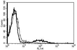 HLA DQ Mouse anti-Human, Clone: B-K27, Novus Biologicals:Antibodies:Primary